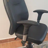 صندلی چرخدار