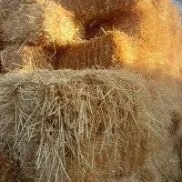 پرس کاه گندم