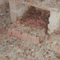 سینه ای|پرنده|اهواز, گلدشت|دیوار