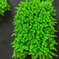 دیوار سبز دکوری|گل مصنوعی|تهران, فرمانیه|دیوار