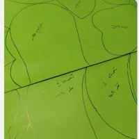 پک الگو سرویس آشپزخانه