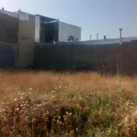 زمین ۲۴۰متری بافت قدیم ۱۷جنوبی