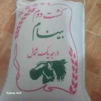 برنج ایرانی عطری چک دوماه