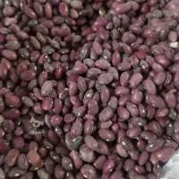 لوبیا قرمز یاقوتی