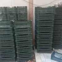 سبد میوه فروشی