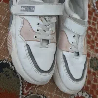 کتانی ۳۸|کیف، کفش، کمربند|بجنورد, |دیوار