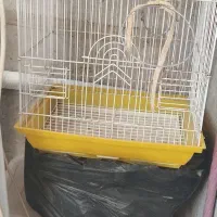 قفس