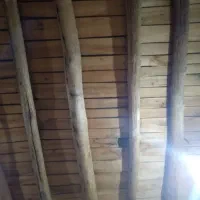 خرید چوب درخت هرنوع درختی باشه تیرصغفی