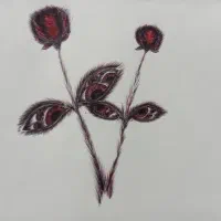 فروش قاب نقاشی خودکار