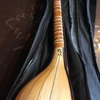 سه تار|سازهای سنتی|قم, نیروگاه|دیوار