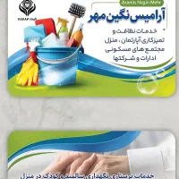 خدمات نظافت، مبل شویی