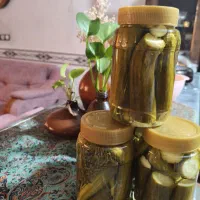 خیارشور خونگی