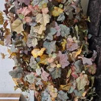 درخت پاییزی نونو  و گل وگلدان