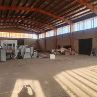 فروش سوله صنعتی33000م زاوی برق500زون سلولزی کد5646