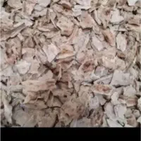 فروش نان خشک