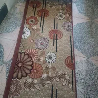 گلیم|گلیم، جاجیم، گبه|تاکستان, |دیوار