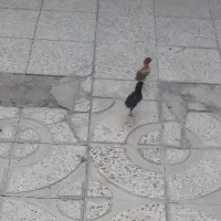 جوجه