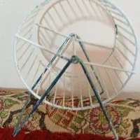 چرخ فلک همستر