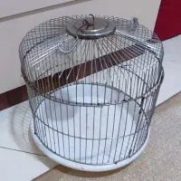 قفس