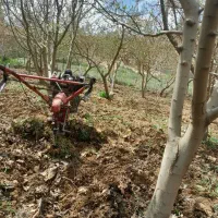 شخم زنی با تیلر وقطع درخت با اره برقی وسم پاشی