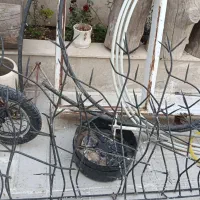 حفاظ شاخ گوزنی
