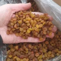 کشمش|خوردنی و آشامیدنی|کرج, حصارک|دیوار