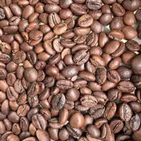 دان ربوستا با قیمت مناسب