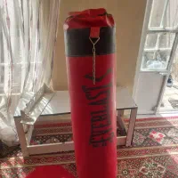 کیسه بوکس حرفه ای