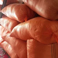کاه|گل و گیاه طبیعی|فیروزآباد (فارس), |دیوار