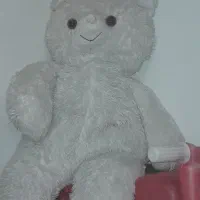 خرس شاسخین