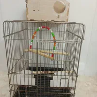 فروش قفس پرندع