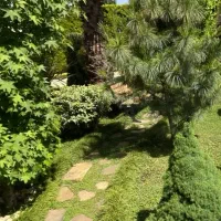 سرایدار برای ویلا نوشهر