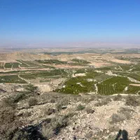 زمین مسکونی