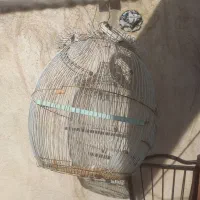 قفس سالم