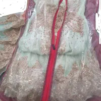 لباس عقدی وجشن