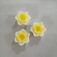 گل نرگس، گل بابونه، گیفت مناسبتی