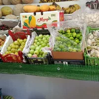 واگذاری میوه فروشی به دلیل انتقال محل کار دولتی ام