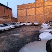 شاگرد پارکینگ راننده