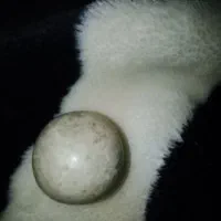 سنگ الماس آسیاب