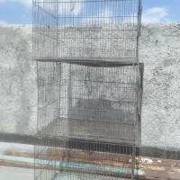 قفس پرنده