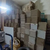 خرید و فروش کارتن و شانه عمده و جزئی