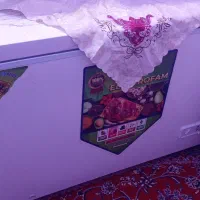 یخچال فریزر خشک