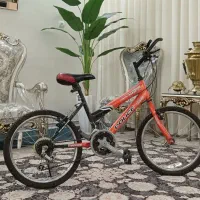 دوچرخه 20 دنده ای