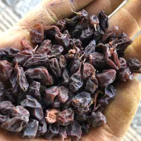 کشمش بش زرقان