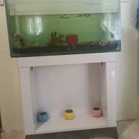 اکواریوم
