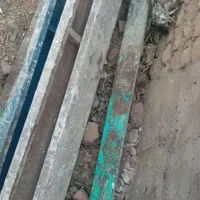 قوطی