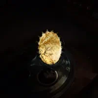 انگشتر نقره