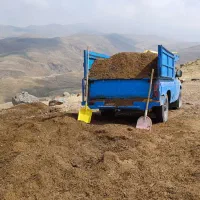کود گوسفندی