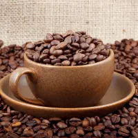 نیازمند نیرو کار برای کافه