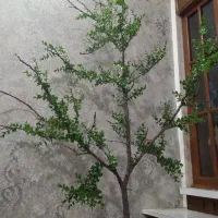 درخت بهاری مصنوعی